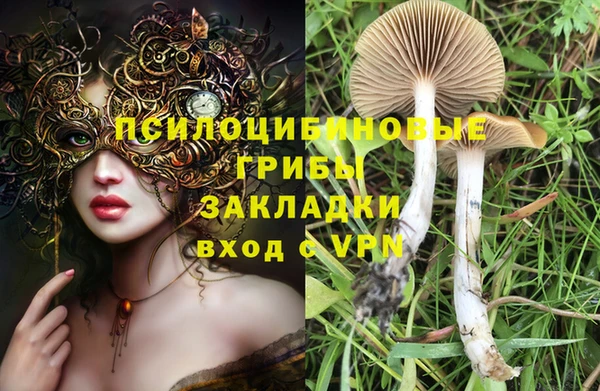стафф Арсеньев