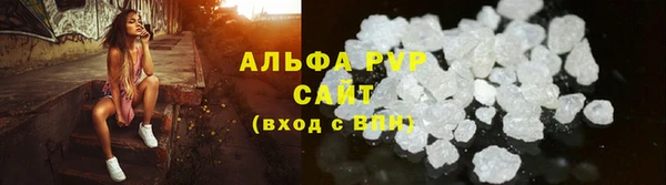 стафф Арсеньев