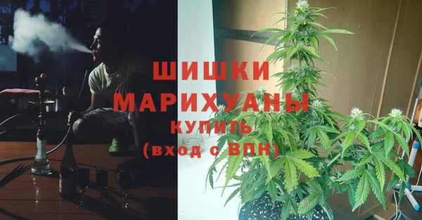 стафф Арсеньев